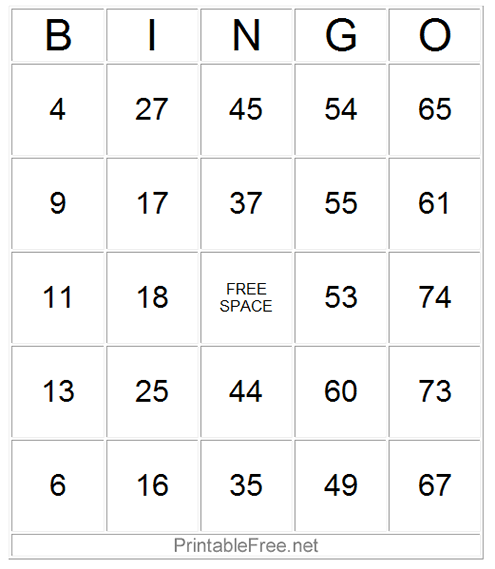 Large Bingo Card Sample