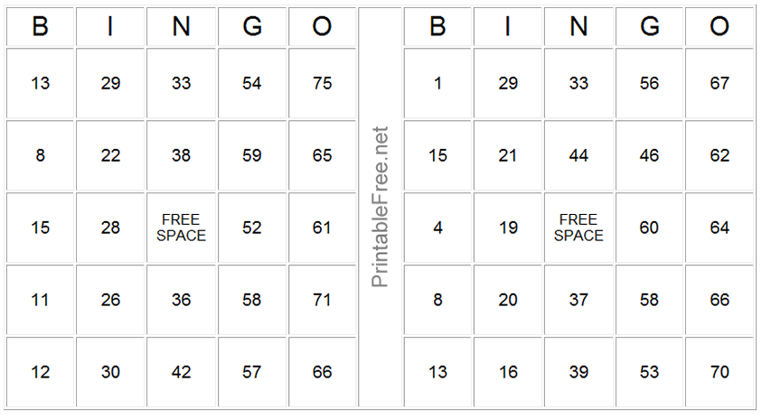 Two Bingo Cards Sample